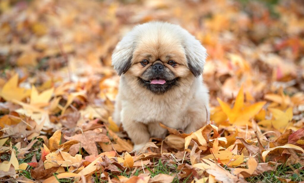 写真投稿で稼ぐにはタグが重要なのか？