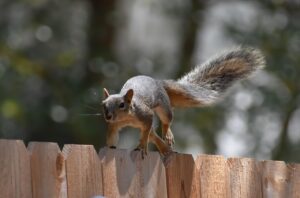 フォトコンテストに参加する方法と賞金の受け取り方は？