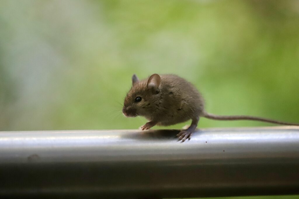 写真を活用したロングテールSEOの効果的な戦略は？