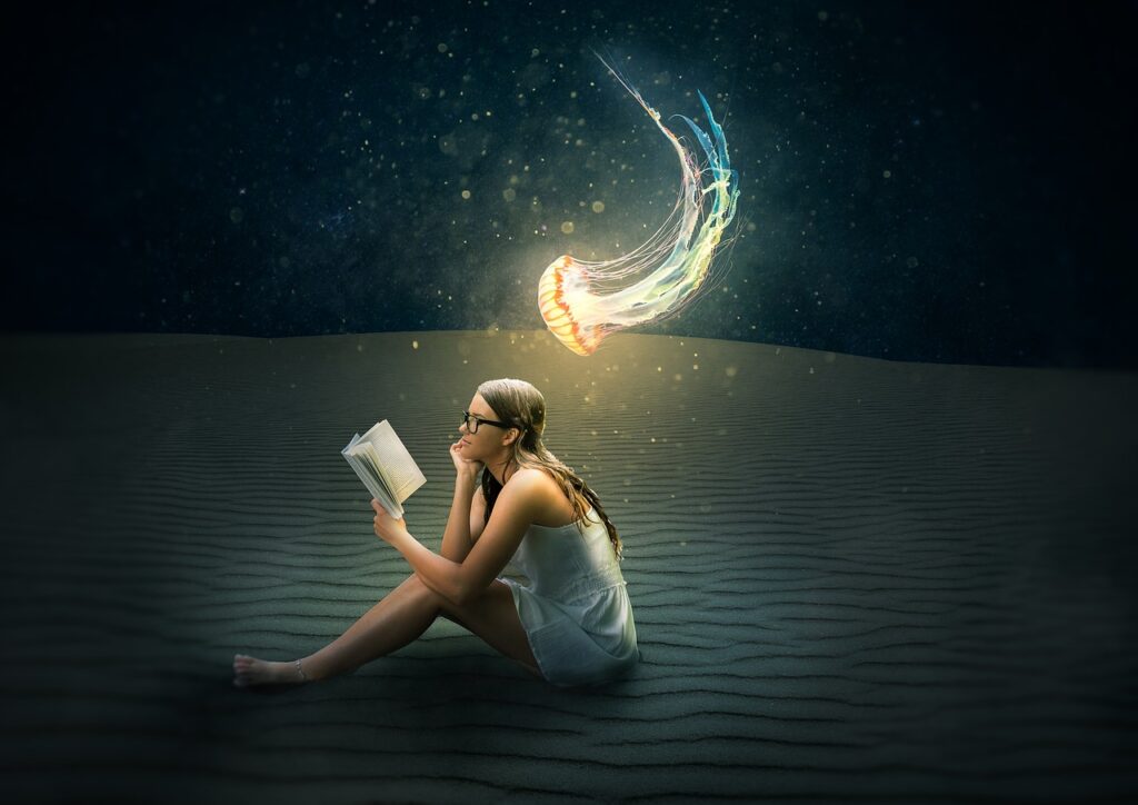 LightroomとPhotoshopの違いを初心者が理解するためのポイントは？