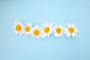 主婦が撮影する家族写真のモデルとしての著作権について知っておくべきことは？